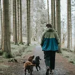 Apartamento The Crossings Inn, Eco-friendly In The Cumbrian Countryside With Heating And Hot Water